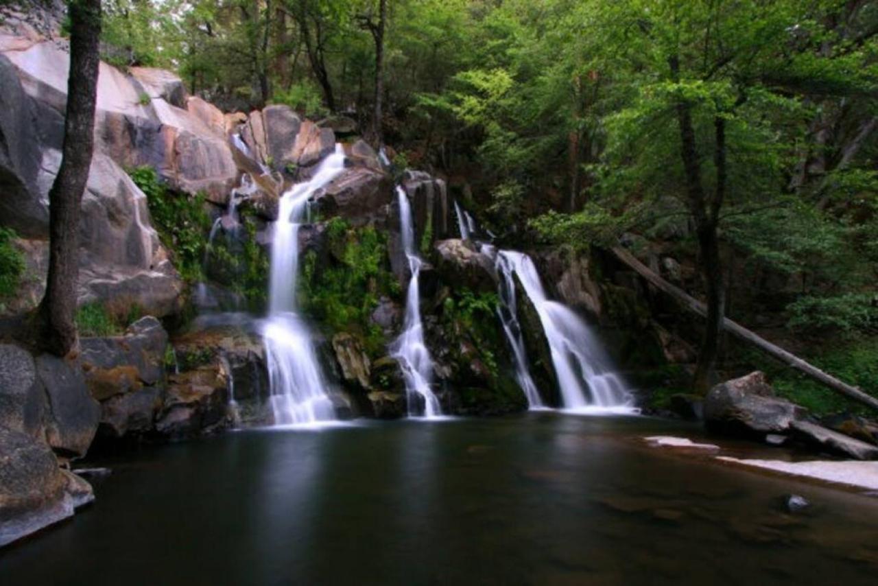 Corlieu Falls In Sugar Pine 8 Miles From Yosemite With Gazebo, Hot Tub A Shack And Bar